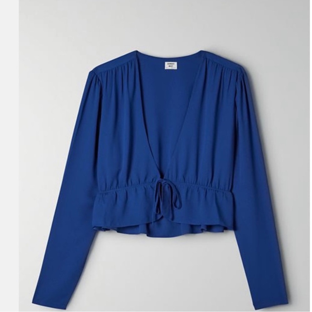 Royal Blue Aritzia Blouse
